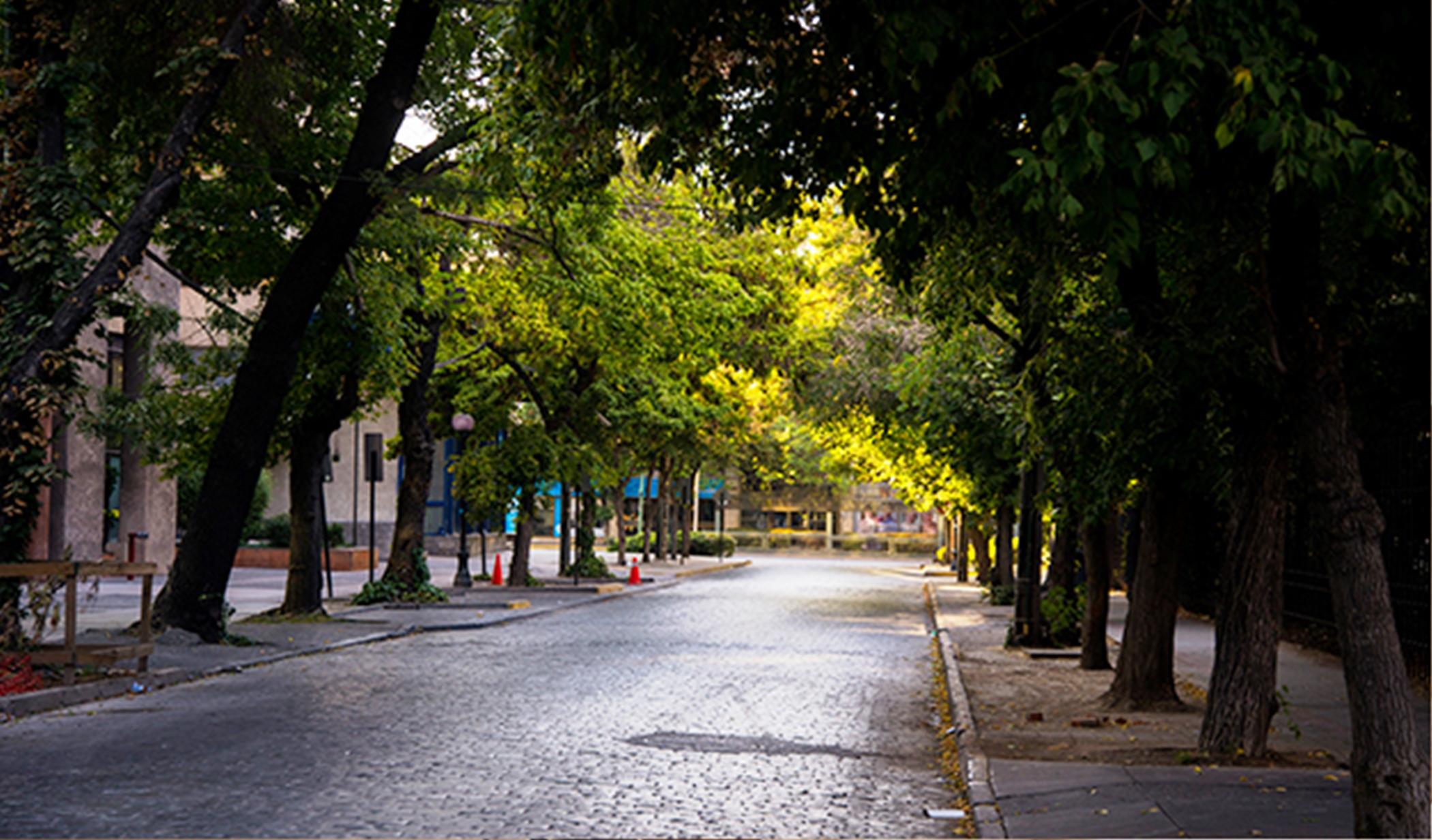 Solace Hotel Santiago Dış mekan fotoğraf A street in the neighborhood