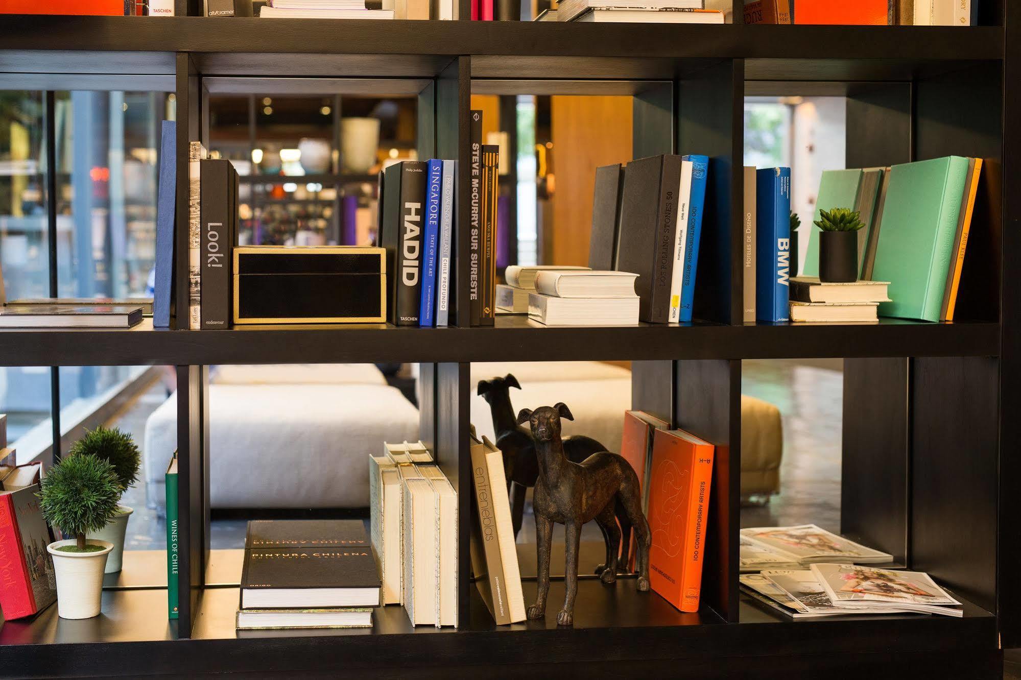 Solace Hotel Santiago Dış mekan fotoğraf A dog in a library